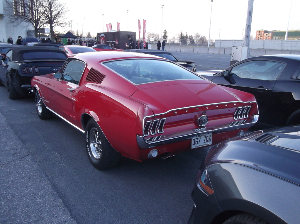 5 mai 2024, Record mondial Mustang dans un convoi, RECORD BATTU 1889 Mustang - Page 6 Dscf9419