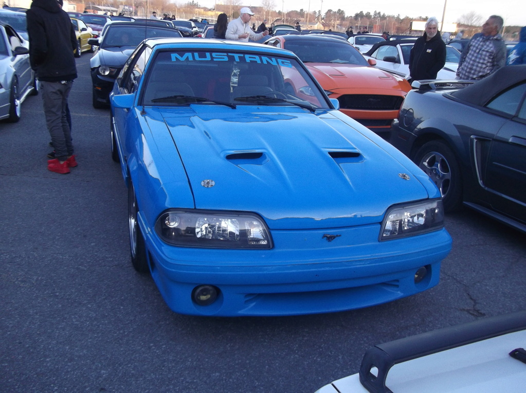 5 mai 2024, Record mondial Mustang dans un convoi, RECORD BATTU 1889 Mustang - Page 6 Dscf9426