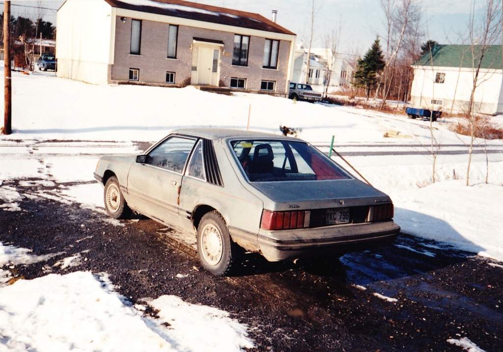 Mon Mustang hatchback 1981 Ma_mus11