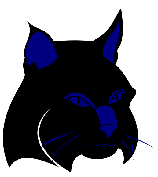 Boston Bobcats Uniforms/Fields for 2022 GSL Season G3320110