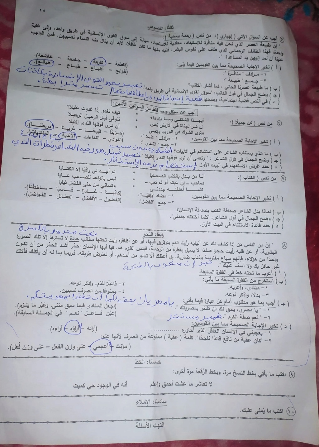 امتحان اللغة العربية للصف الثالث الاعدادي 2024 محافظة البحيرة 16101