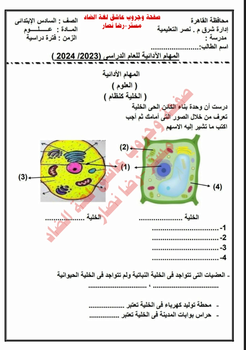 امتحان المهام الأدائية فى العلوم للصف السادس ترم أول 2024. القاهرة 1_img177