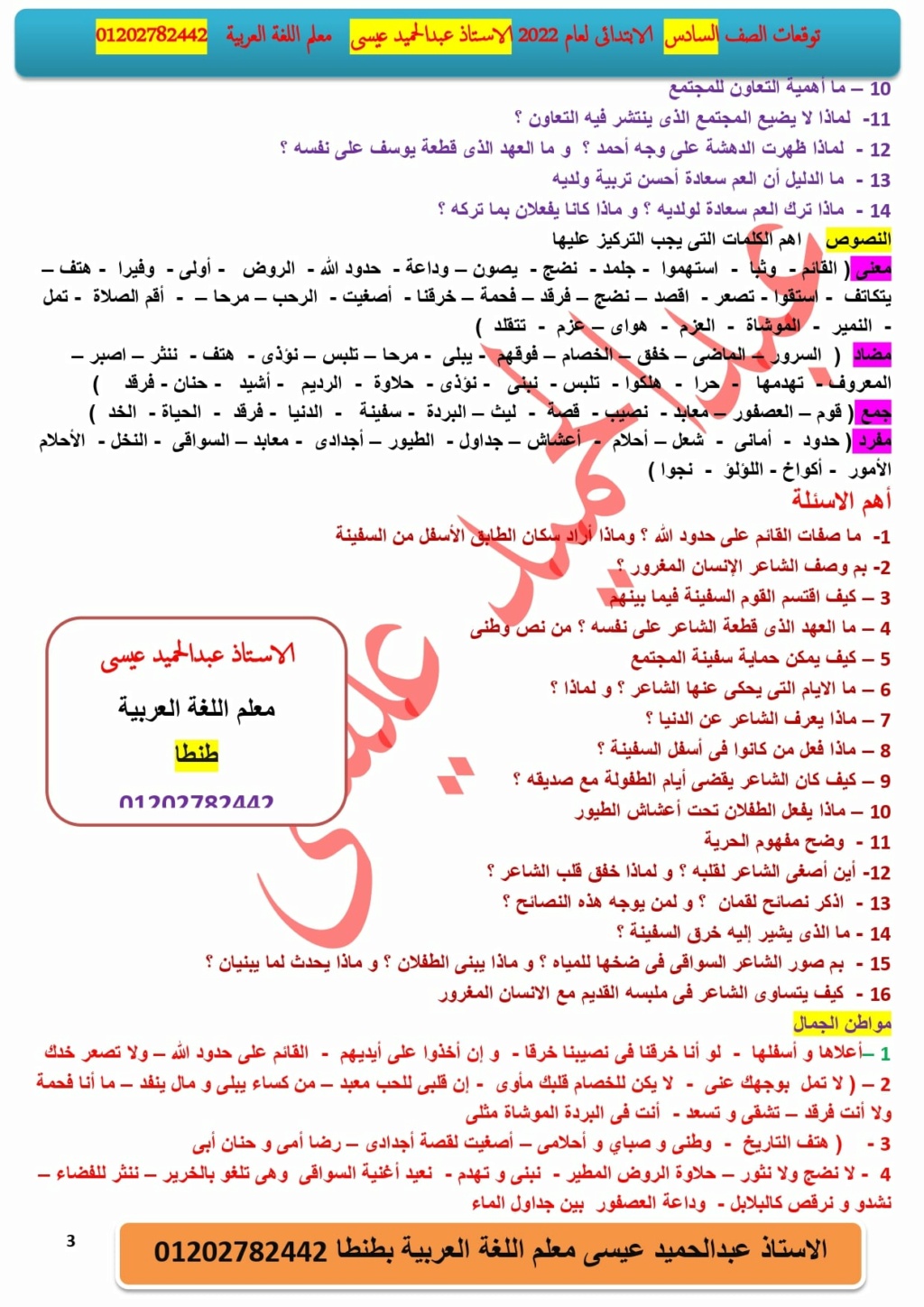 توقعات امتحان اللغة العربية للصف السادس ترم ثاني 2022 الأستاذ عبدالحميد عيسي 3105