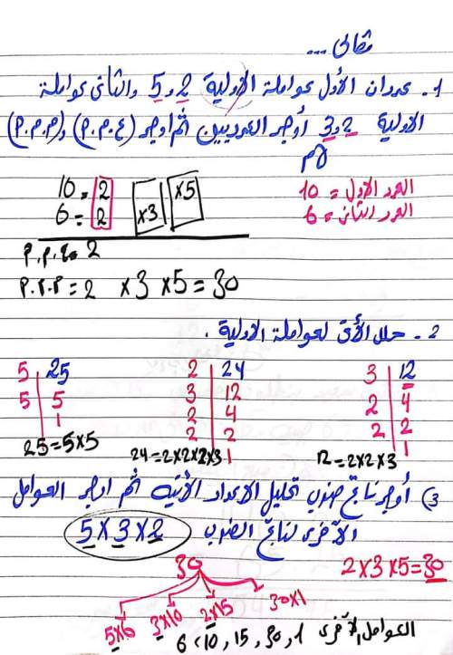 امتحان الرياضيات لطلاب الصف الخامس الابتدائي ترم أول 2023 من مستر محمد إبراهيم 4_img_47