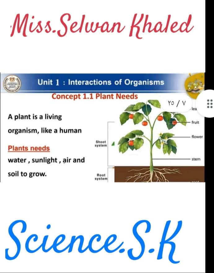 مراجعة منصة البث المباشر للوزارة Science Grade 5    6124