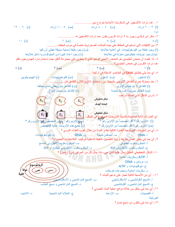 نموذج الوزارة امتحان الأحياء اولى ثانوي 2024. PDF Biolog11