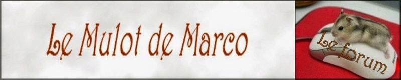 Le Mulot de Marco Forum16