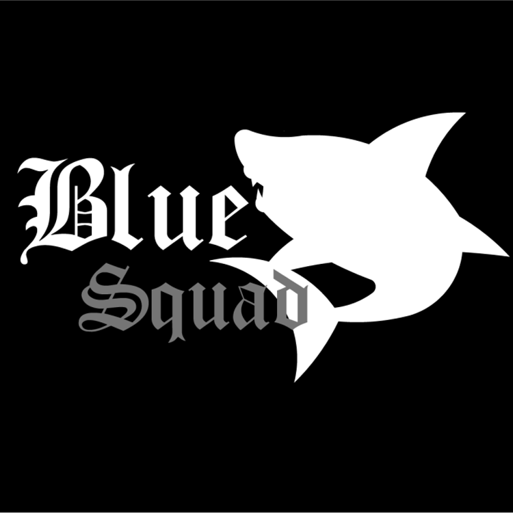 [ acceptée ] Présentation de l'organisation Blue Squad Logo_b10