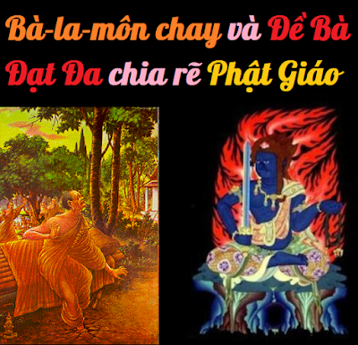 Hạnh Đầu Đà Debada10
