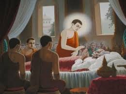 CHẾT ĐI VỀ ĐÂU ?.- (Th Nhật Từ) Ho_nim10