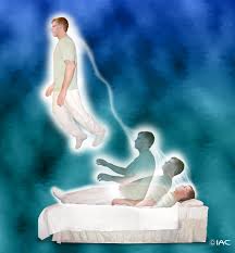 Nhập quả vị Tu Đà Hoàn, liệu có thể được chăng?'. Linh_h12