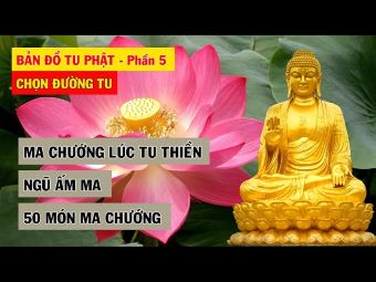 Nhập quả vị Tu Đà Hoàn, liệu có thể được chăng?'. Ngo_im10