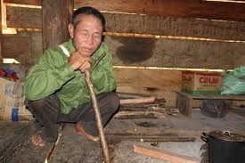 Hạnh Đầu Đà Ngo_ng11