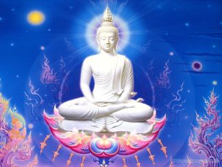 Con Đường Phật Tâm Tông Phần 3 Phyt410