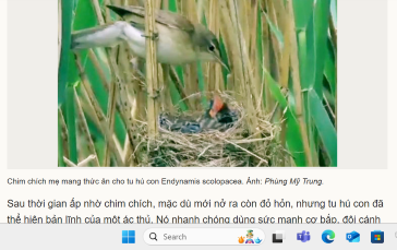 Đoãn khúc bóng đen PGVN cận & đương đại. Phần II Screen62