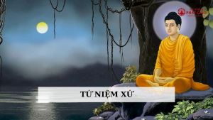 Sanh từ đâu đến ?- Tử đi về đâu ? Tu-nie11