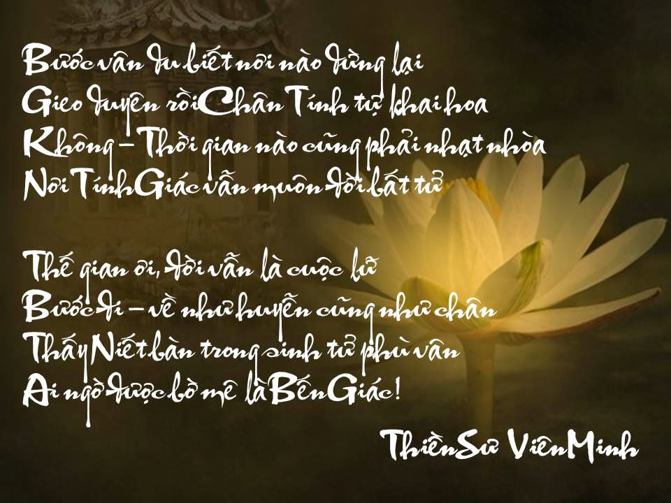 NGÃ & VÔ NGÃ - SIÊU NGÃ Vizon_17