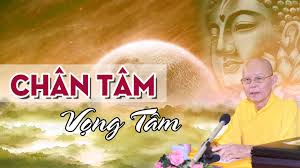 AI ? CÁI GÌ ? HAY LÀ TÂM TẠO ? TÂM NÀO TẠO ? Vung_j10