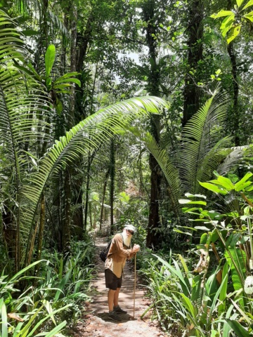 2 mois en Guyane avec Oiapoque (Brésil) et Paramaribo (Suriname); 3 ème voyage  automne 2022 1_3011