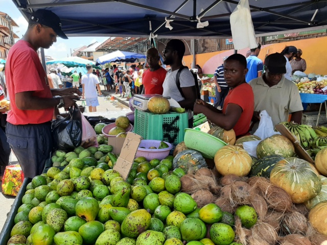 2 mois en Guyane avec Oiapoque (Brésil) et Paramaribo (Suriname); 3 ème voyage  automne 2022 1_710