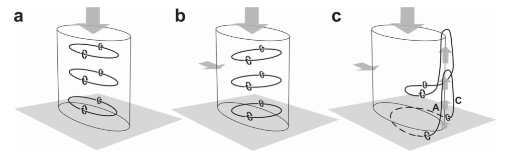 Formation des tornades sous orage rotatif Screen13