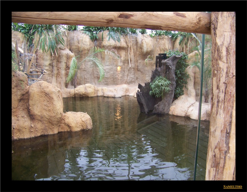 Le zoo de Rotterdam 026110