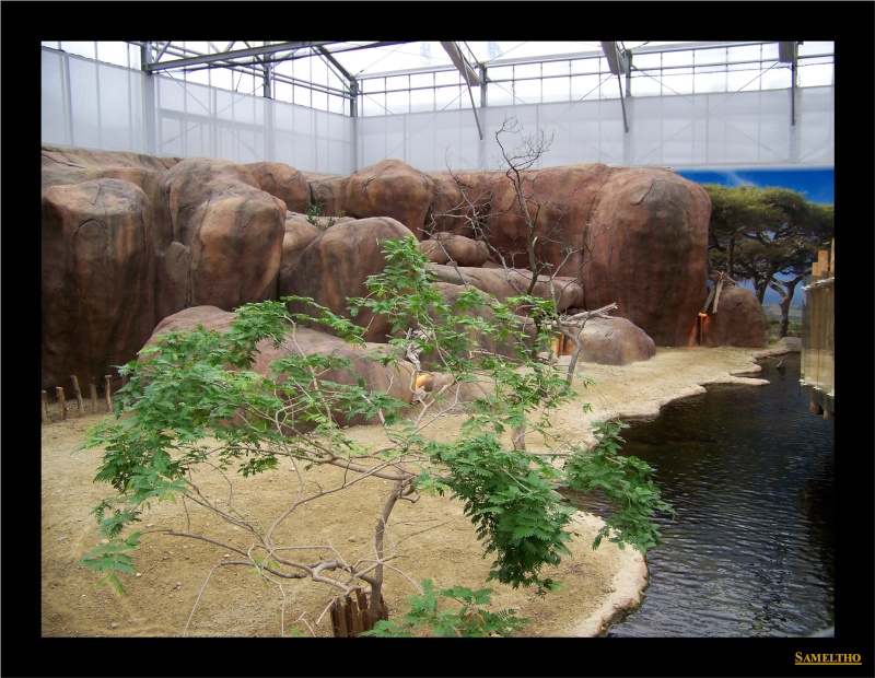 Le zoo de Rotterdam 028110