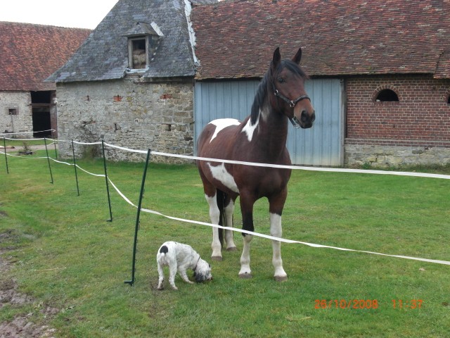 A la ferme des Monceaux Cimg2610