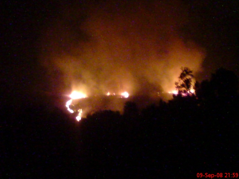 Aokas ravagée par les feux de forets ( Ait Aissa, Septembre 2008) Dsc00112