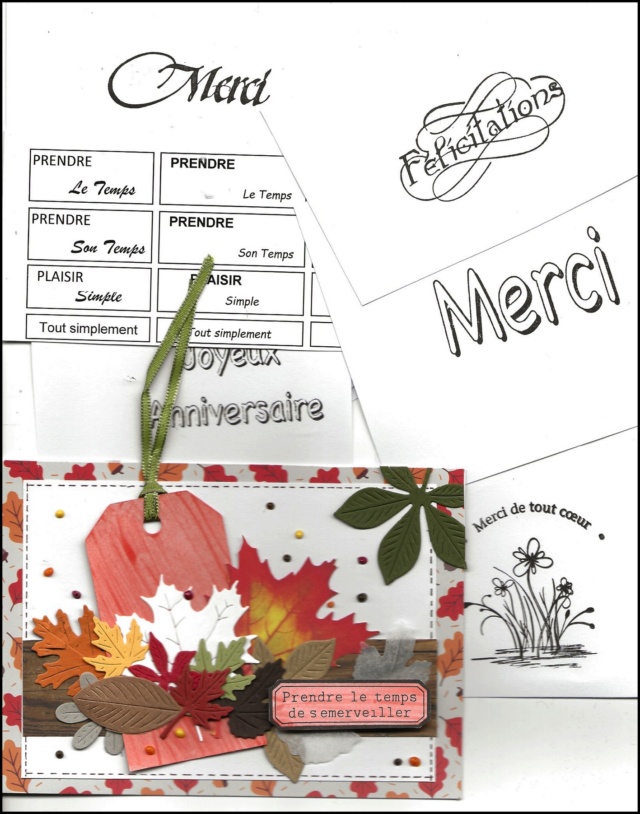 Septembre 2021 - Des feuilles et encore des feuilles avec Mme PiNat - Page 4 Cartem11