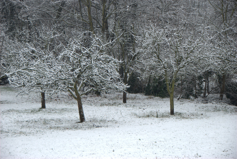 Sa y est elle est la Neige_10