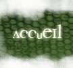 Accueil