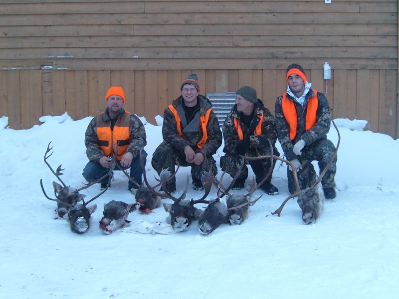 chasse caribou nov. 2008 Pictur33