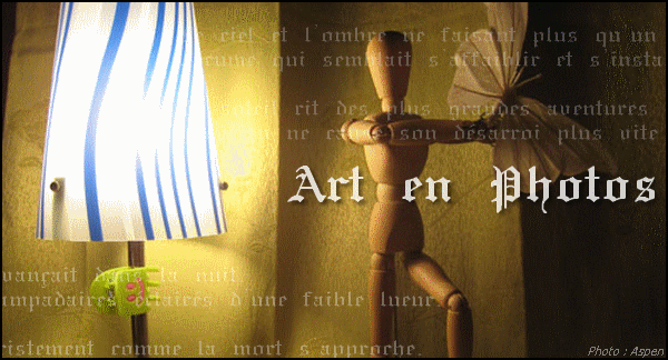 L'oeuvre d'art naît de l'imagination.