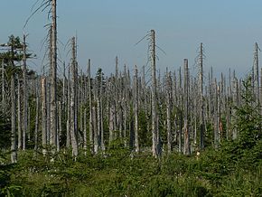 ARMES CLIMATIQUES  - CHEMTRAILS - HAARP - Page 3 290px-10