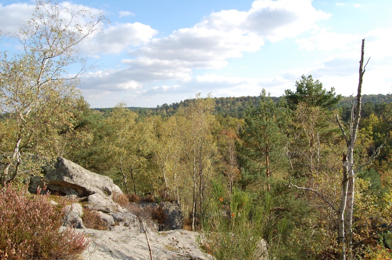 Rando dans la forêt des 3 Pignons (région Fontainebleau) Dsc_1423
