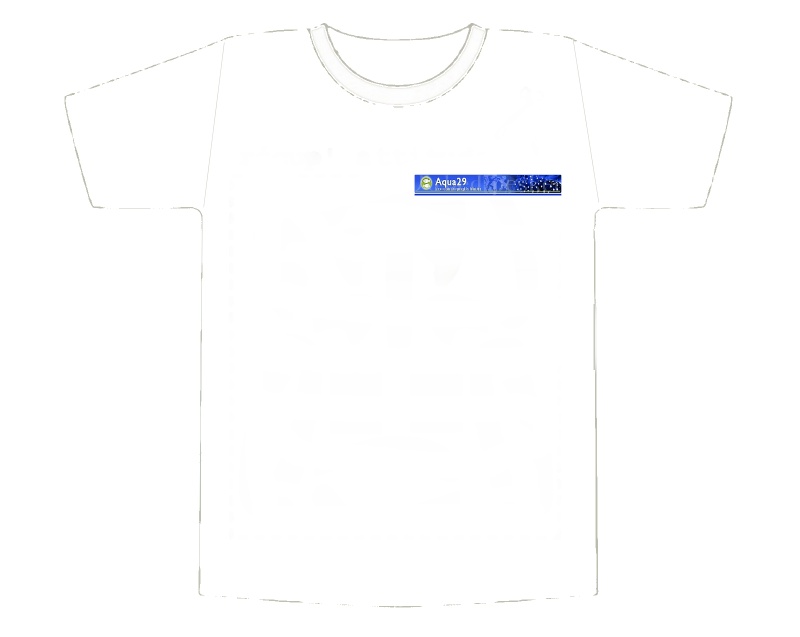Tee shirt Aqua29 Transf11