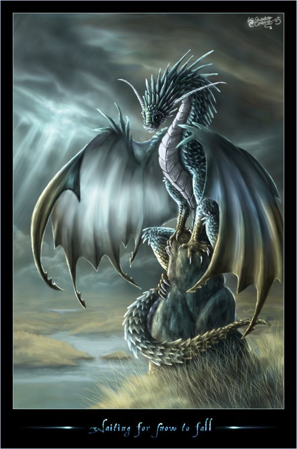 Dragons d'Eau Dragon17
