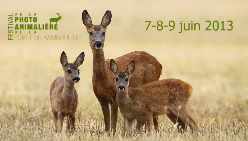 2ème Festival de la photo animalière de la forêt de Rambouillet