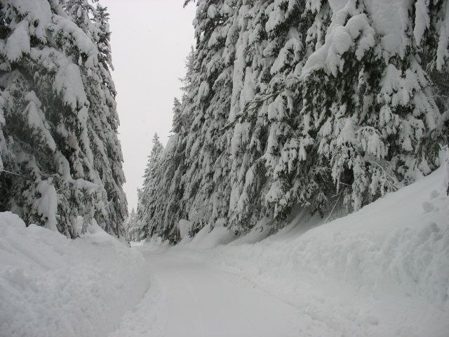 neige  peira-cava - IDEAL "bataille des VOSGES" Img_2412