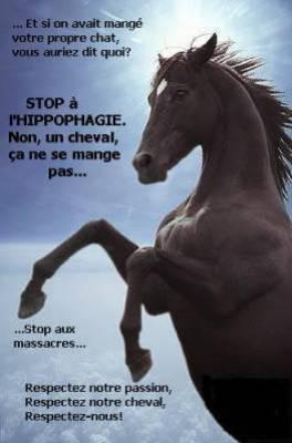 Images contre l'hippophagie Cheval11