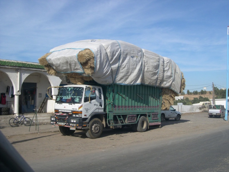 camion du maroc Photo_16