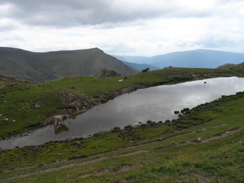 Pyrénées 2013 Sam_0344