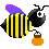 Mouche farouche Mouche farouche