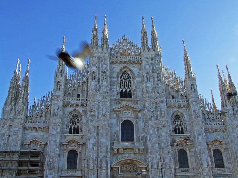 Le Duomo de Milan Duomo_10