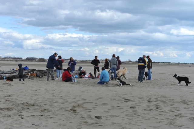 Rencontre sur la plage de l'Espiguette dans le Sud (compte-rendu) Photo152