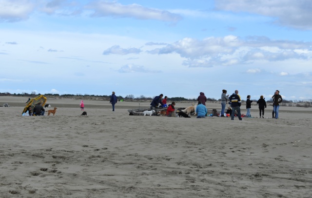 Rencontre sur la plage de l'Espiguette dans le Sud (compte-rendu) Photo153