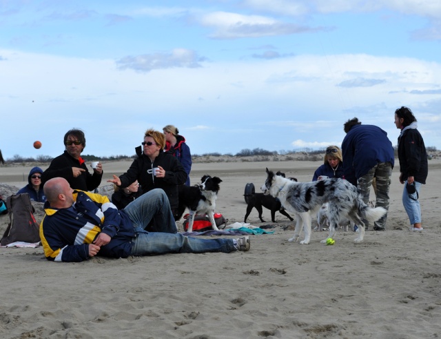 Rencontre sur la plage de l'Espiguette dans le Sud (compte-rendu) Photo155