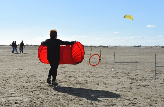 Rencontre sur la plage de l'Espiguette dans le Sud (compte-rendu) Photo183