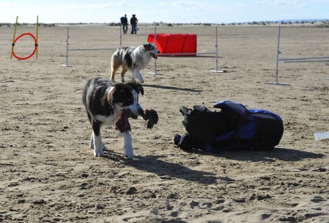 Rencontre sur la plage de l'Espiguette dans le Sud (compte-rendu) Photo184